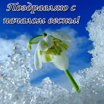 Поздравления с первым днем весны: проза, стихи, картинки на украинском  языке — Украина
