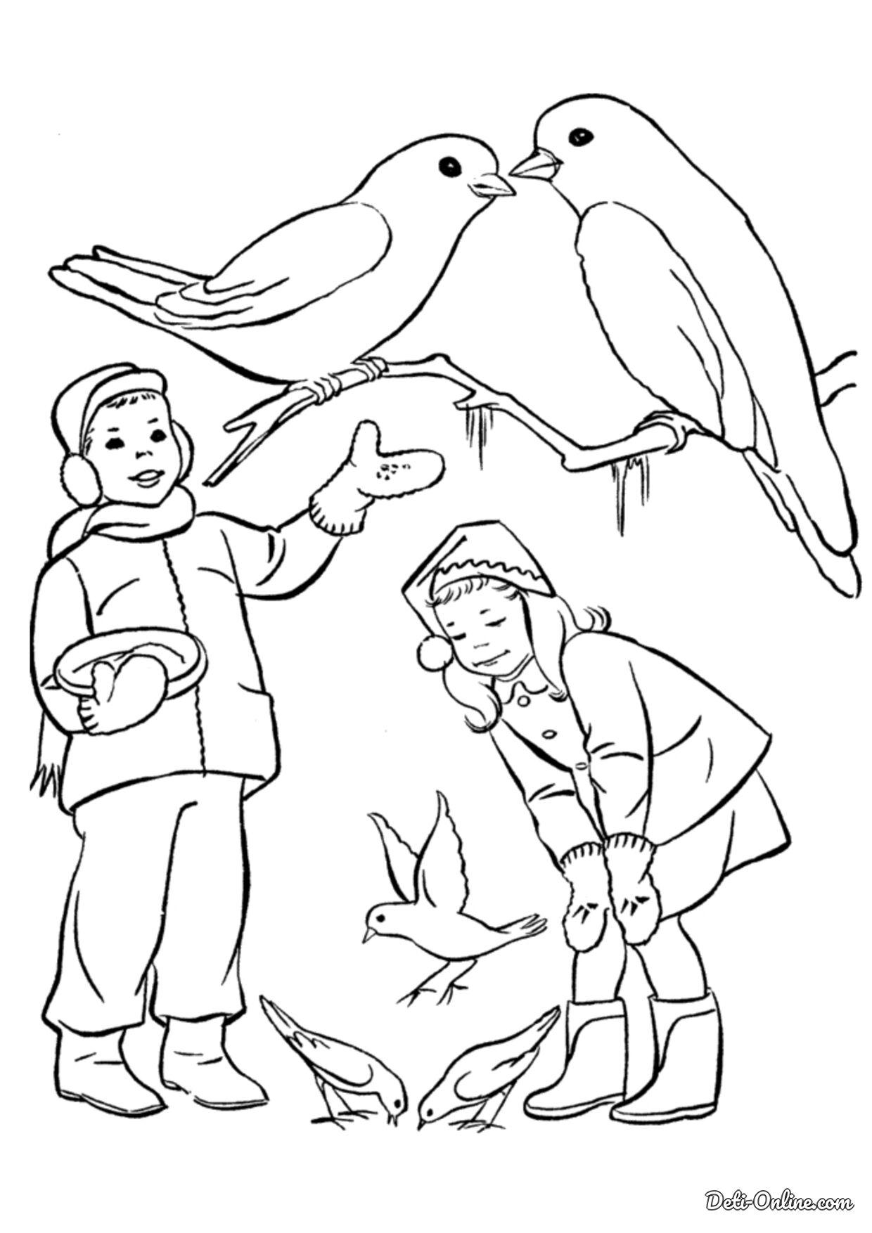 Раскраска Зимующие птицы распечатать бесплатно | Раскраски, Птицы, Шаблоны  птиц