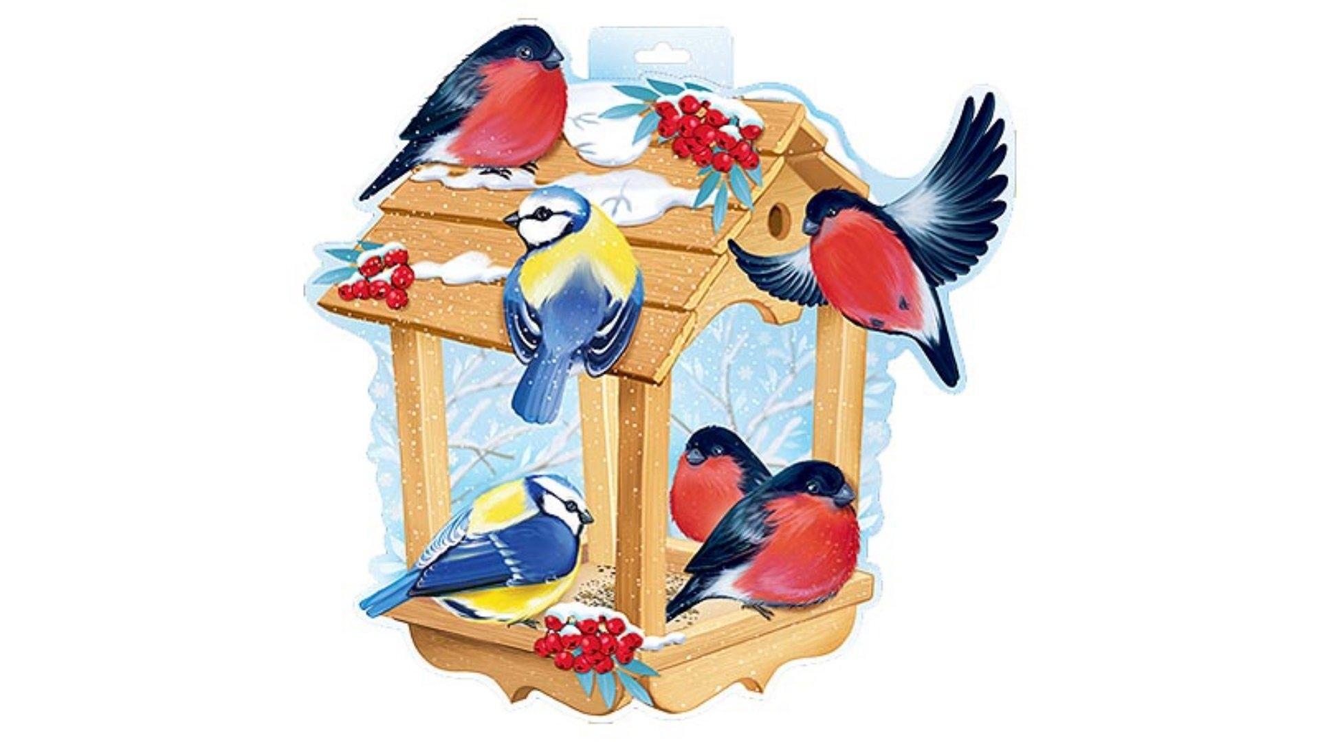 Городская экологическая акция «Помоги птице зимой!» — Дворец творчества  детей и молодёжи Ленинского района