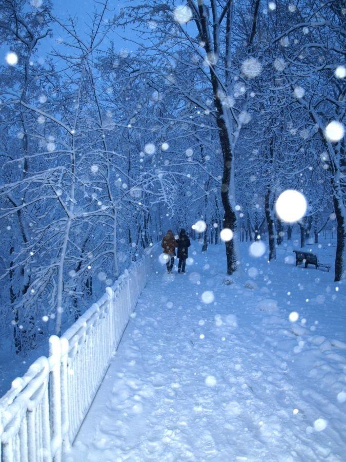 Завтра зима | Пикабу