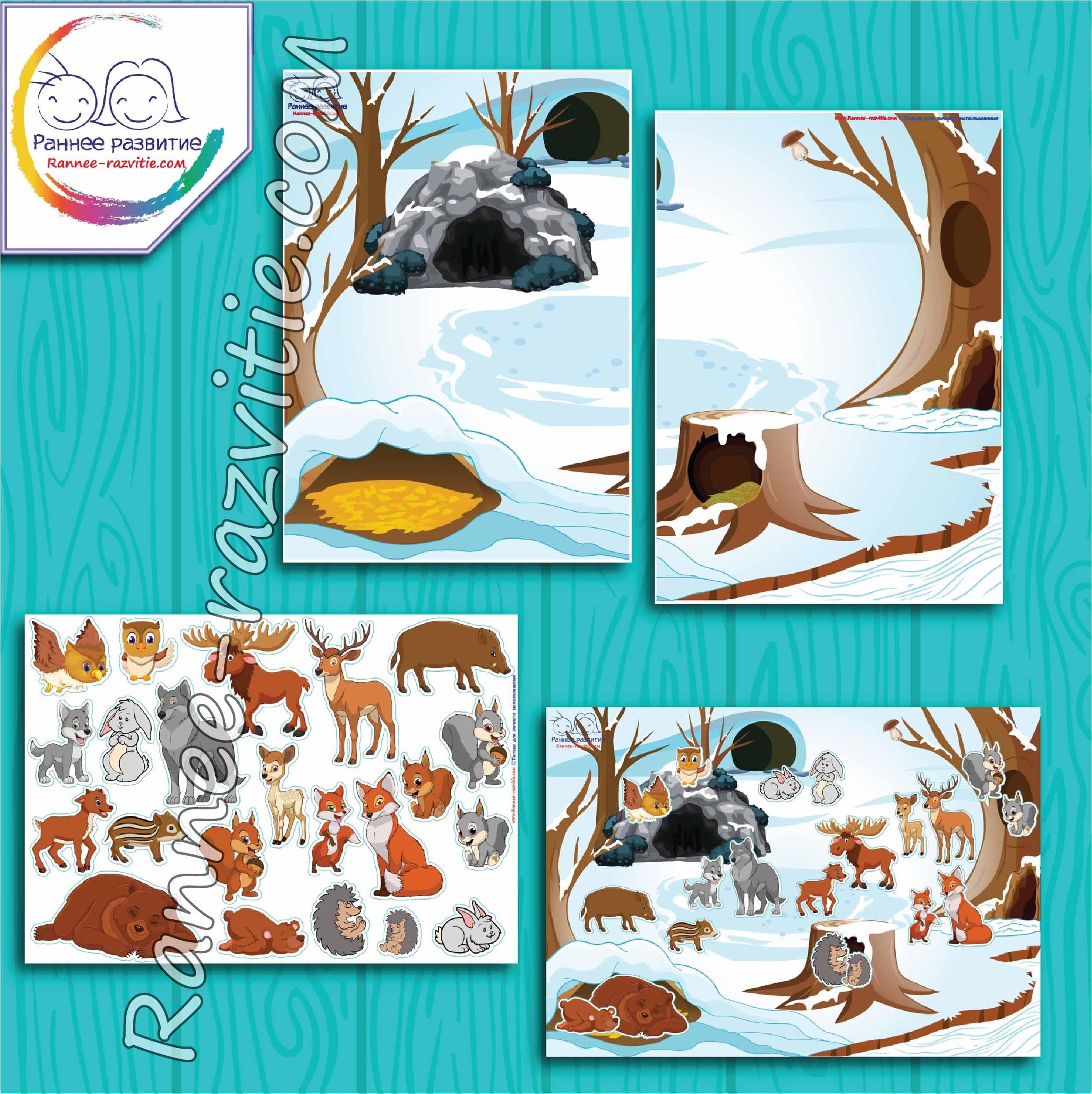 Рисунки животных зимующих в лесу (45 фото) » рисунки для срисовки на  Газ-квас.ком