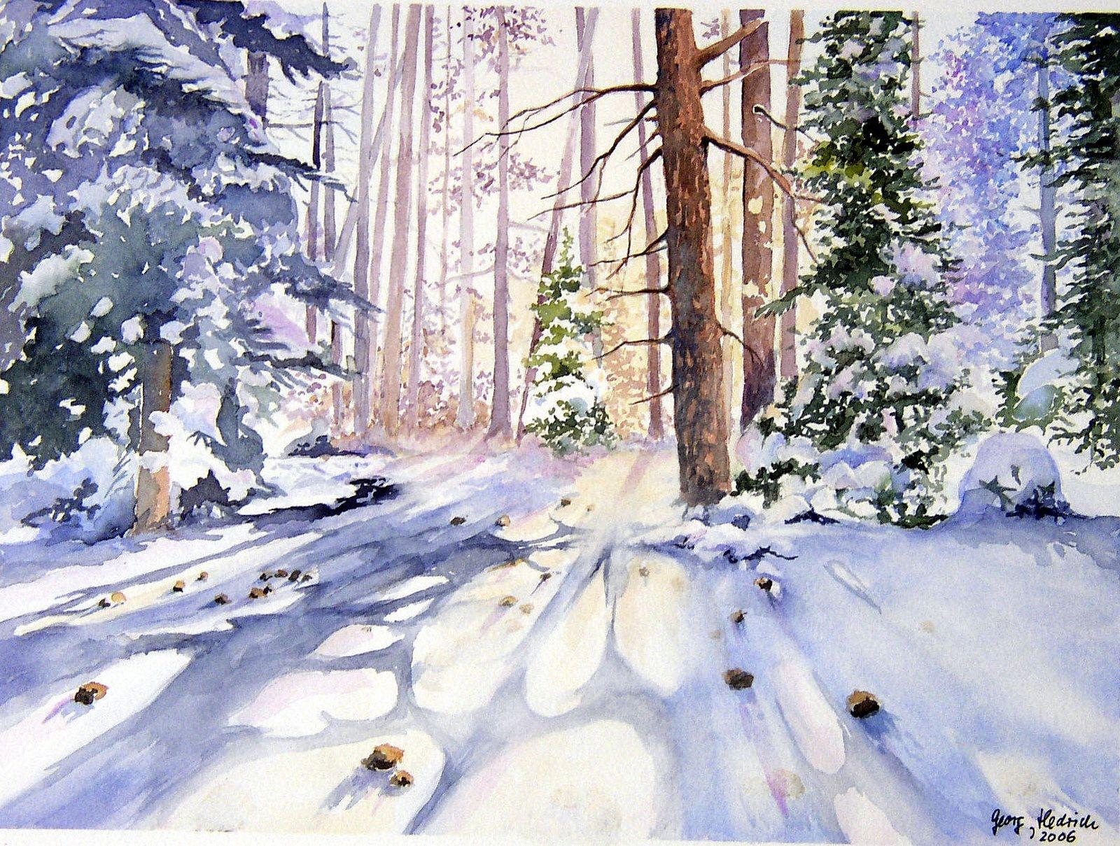 Снежный лес - 80 фото