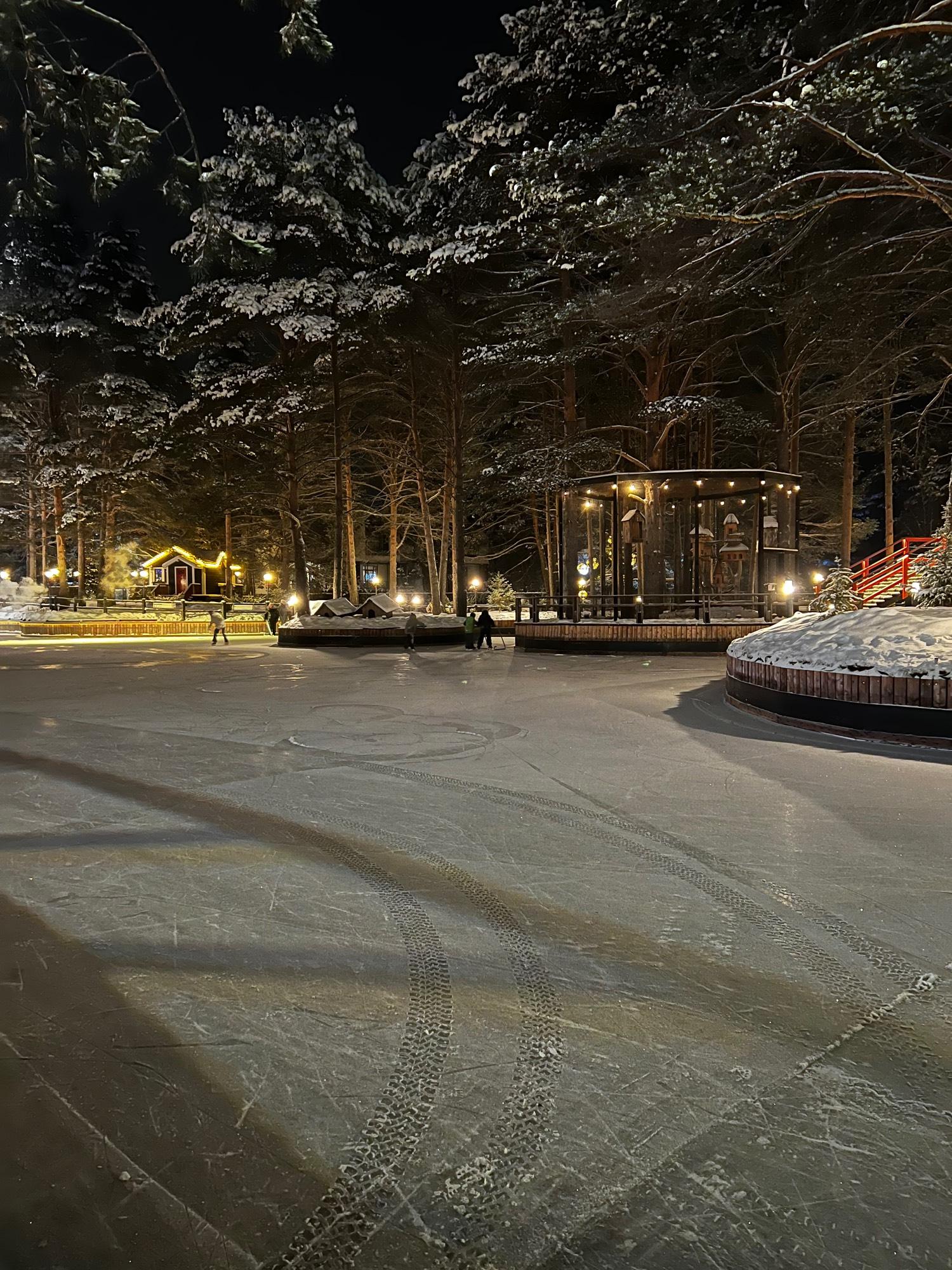 Фотонастроение: зима началась в Калуге без снега - Общество - Новости -  Калужский перекресток Калуга