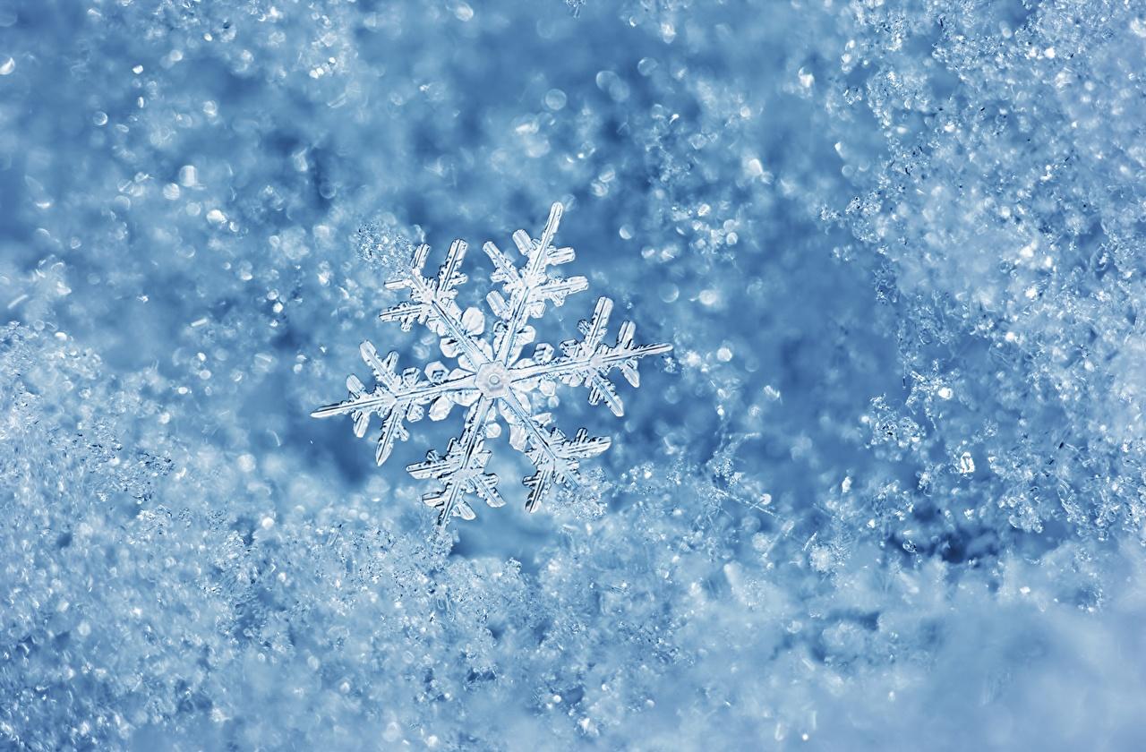 Фотографии Зима Природа снежинка Снег вблизи сезон года