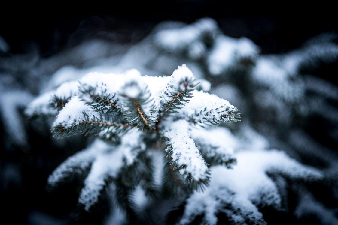 Зима близко картинки - 79 фото