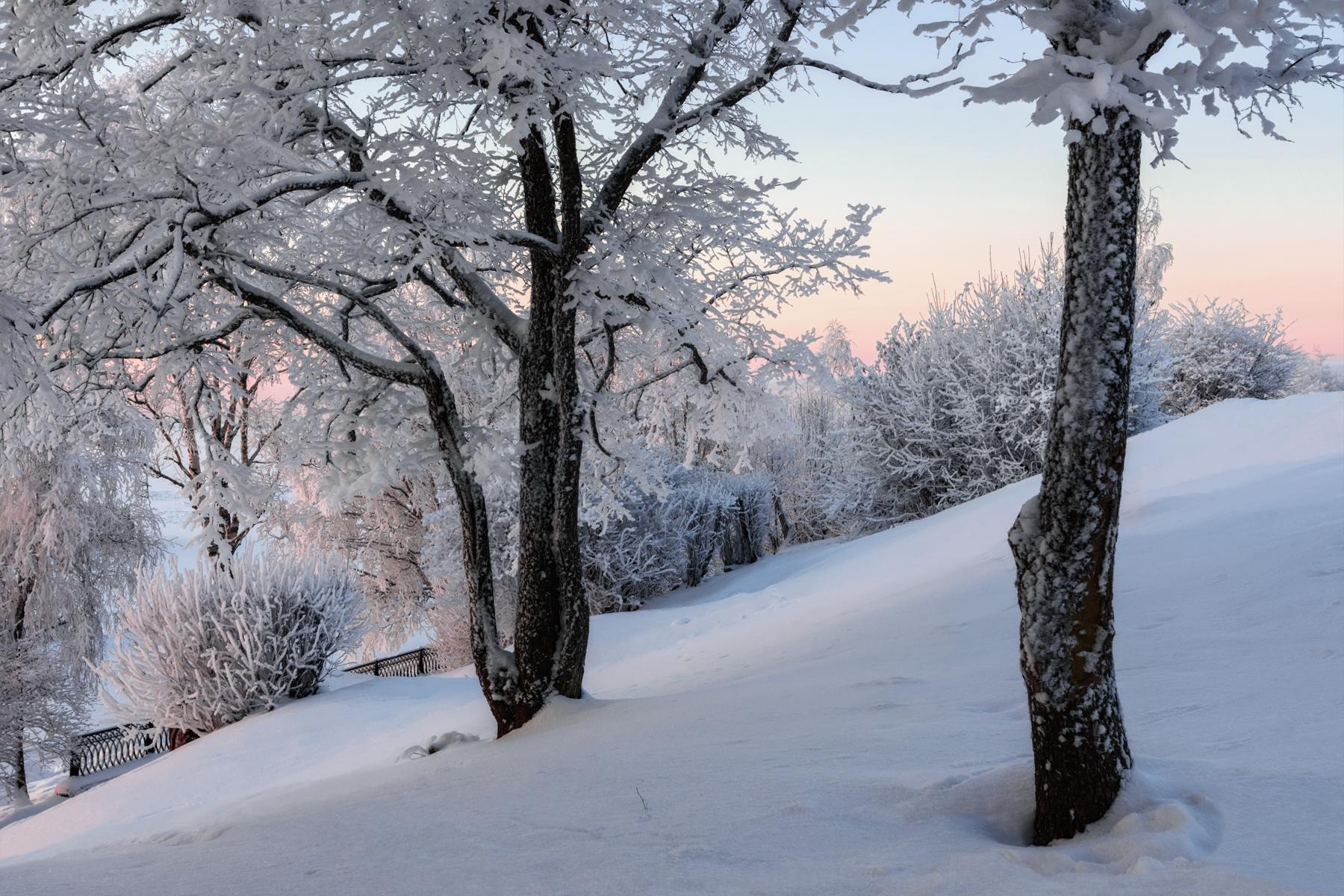 Зима, декабрь, на снегу стоит …» — создано в Шедевруме
