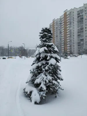 Фотография Зима,декабрь №192112 - «Пейзажи родины моей!» (18.02.2024 -  11:44)