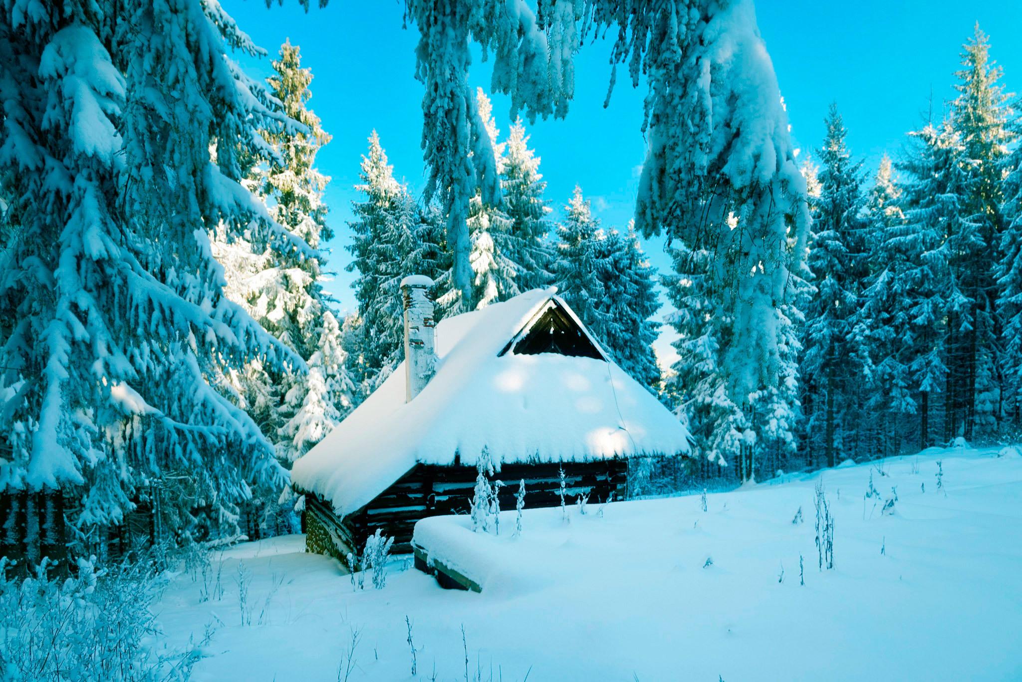Домик в лесу зимой - 50 фото