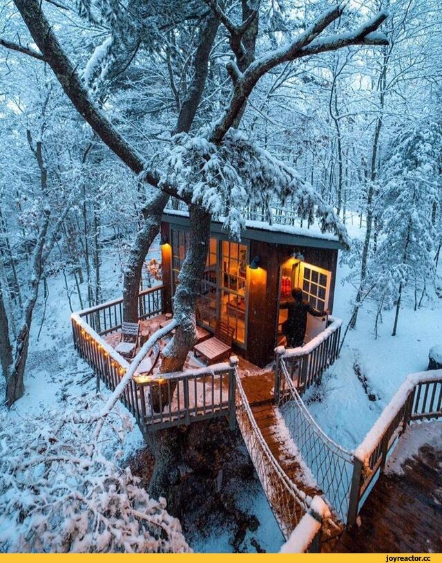Дом в зимнем лесу ночью - 77 фото