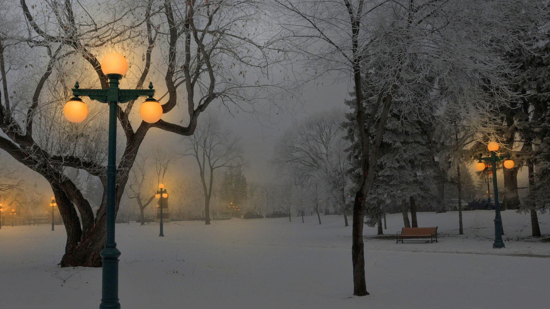 Картинка заснеженная улица ночь зима фонари деревья в снегу обои на рабочий  стол