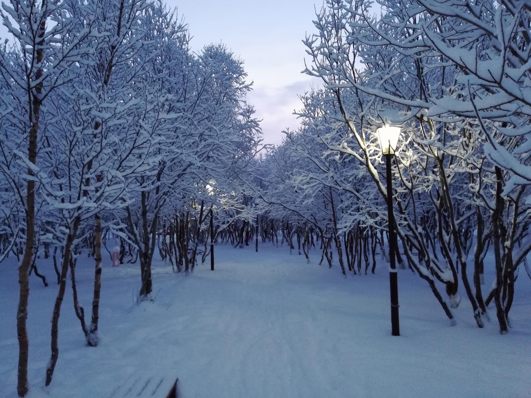 Картинки Чехия Зима улице снеге Дороги Ночь Уличные фонари город
