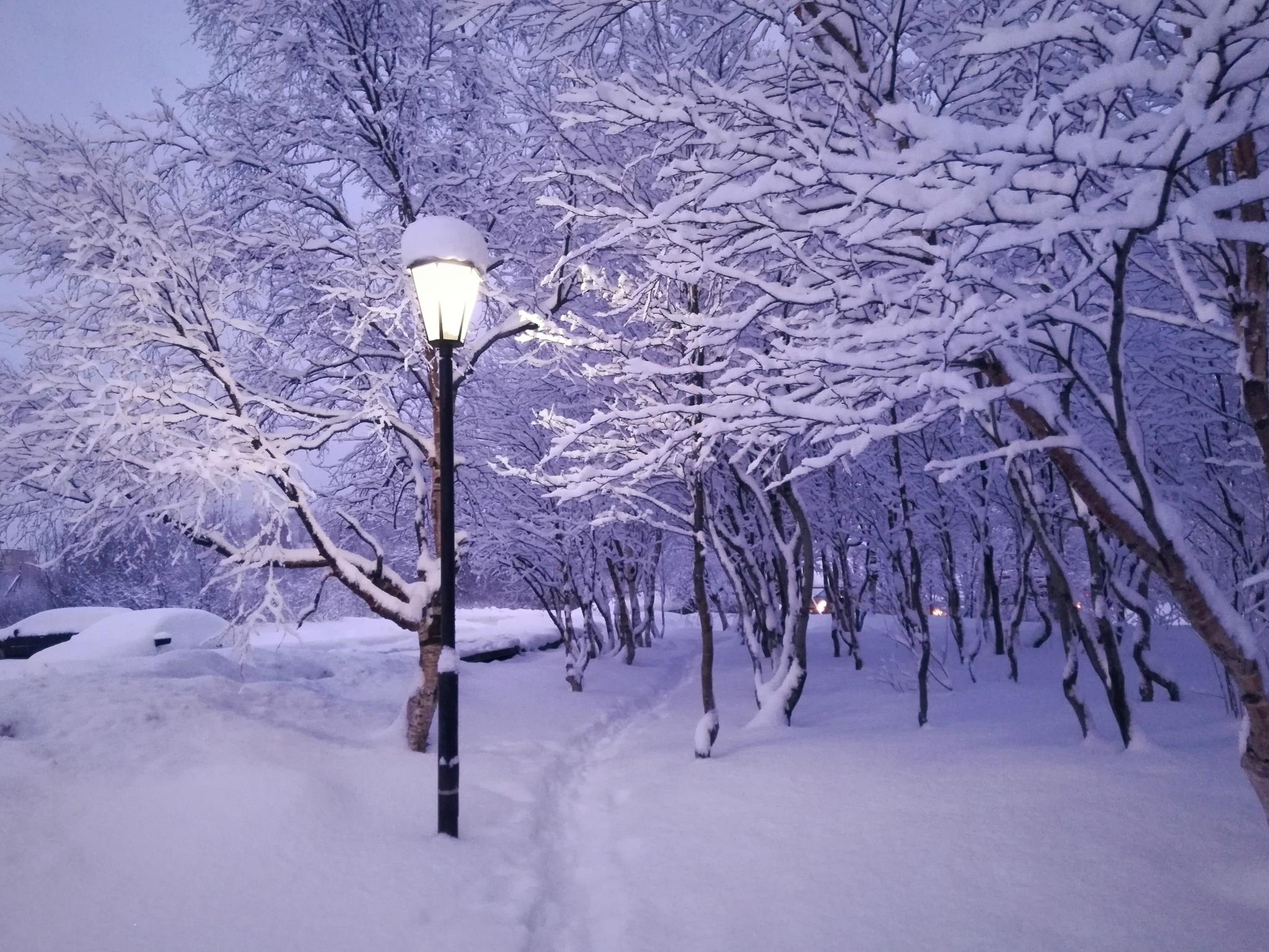 Снег Зима Фонари - Бесплатное фото на Pixabay - Pixabay