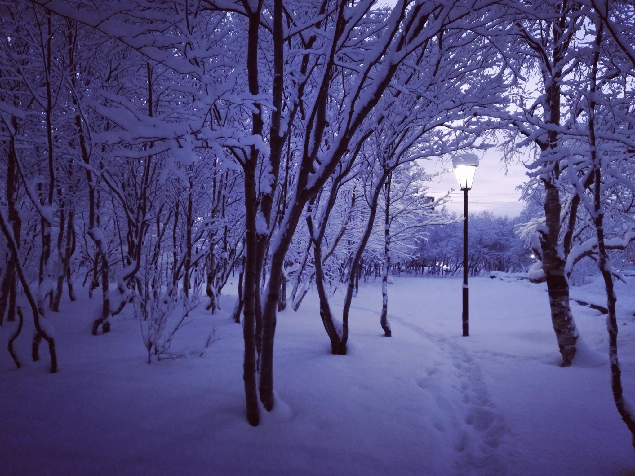 Фото фонари зимние Снег ограда