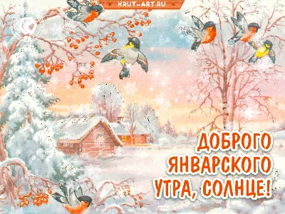 Забавные прикольные зимние открытки | Открытки, поздравления и рецепты |  Дзен