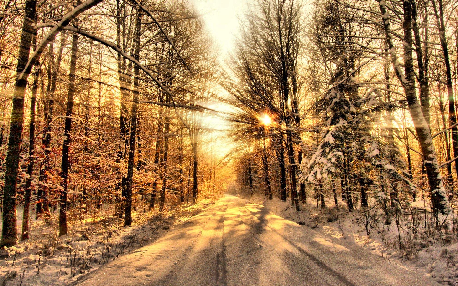 Доктор рассказал, чем компенсировать зимой недостаток солнца - Российская  газета