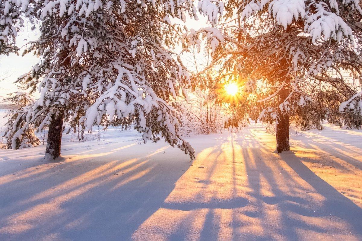 Картинка Мороз и солнце » Зима картинки скачать бесплатно (289 фото) -  Картинки 24 » Картинки 24 - скачать картинки бесплатно