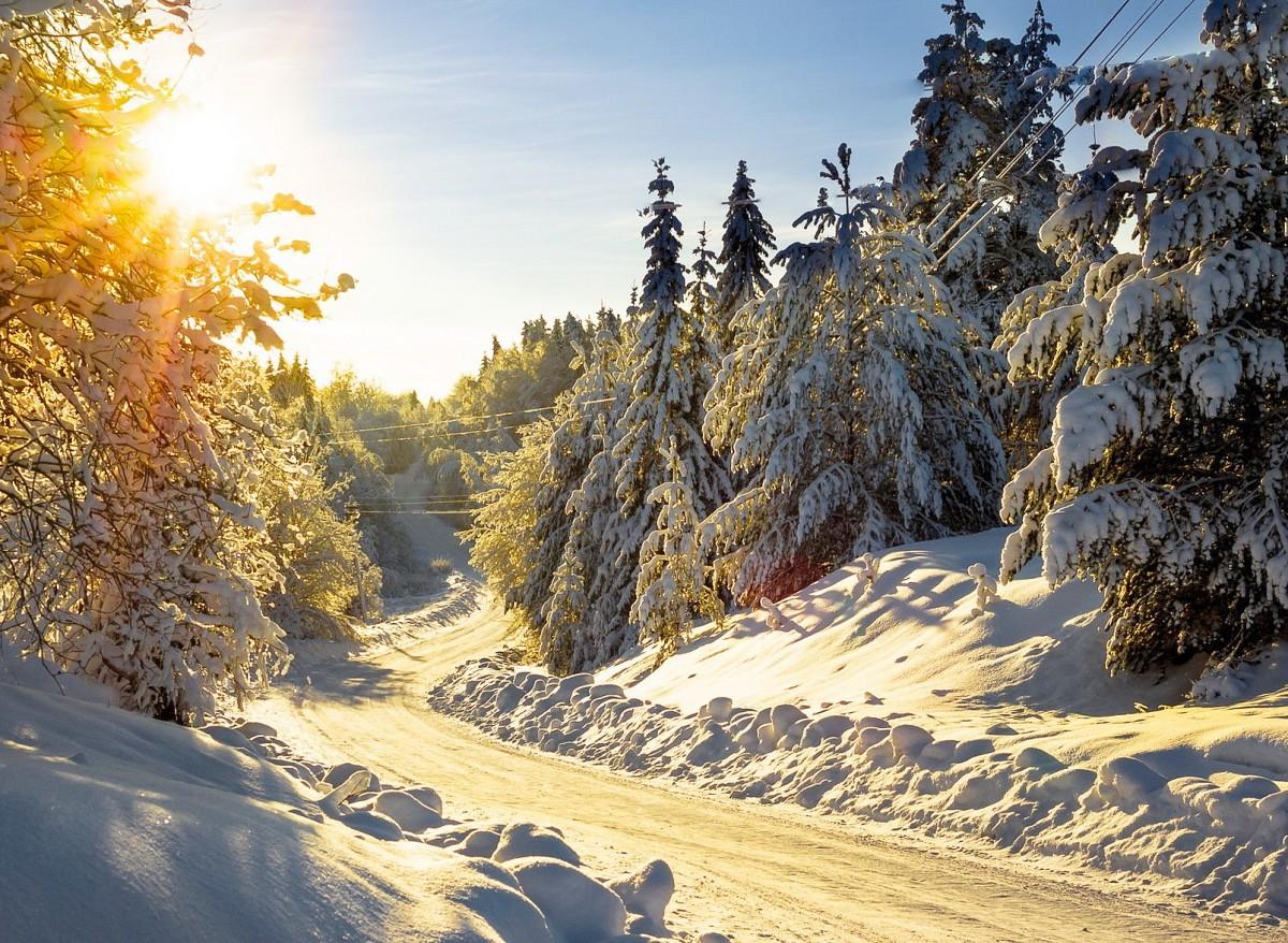 Картинки зимнее солнце красивые (68 фото) » Картинки и статусы про  окружающий мир вокруг