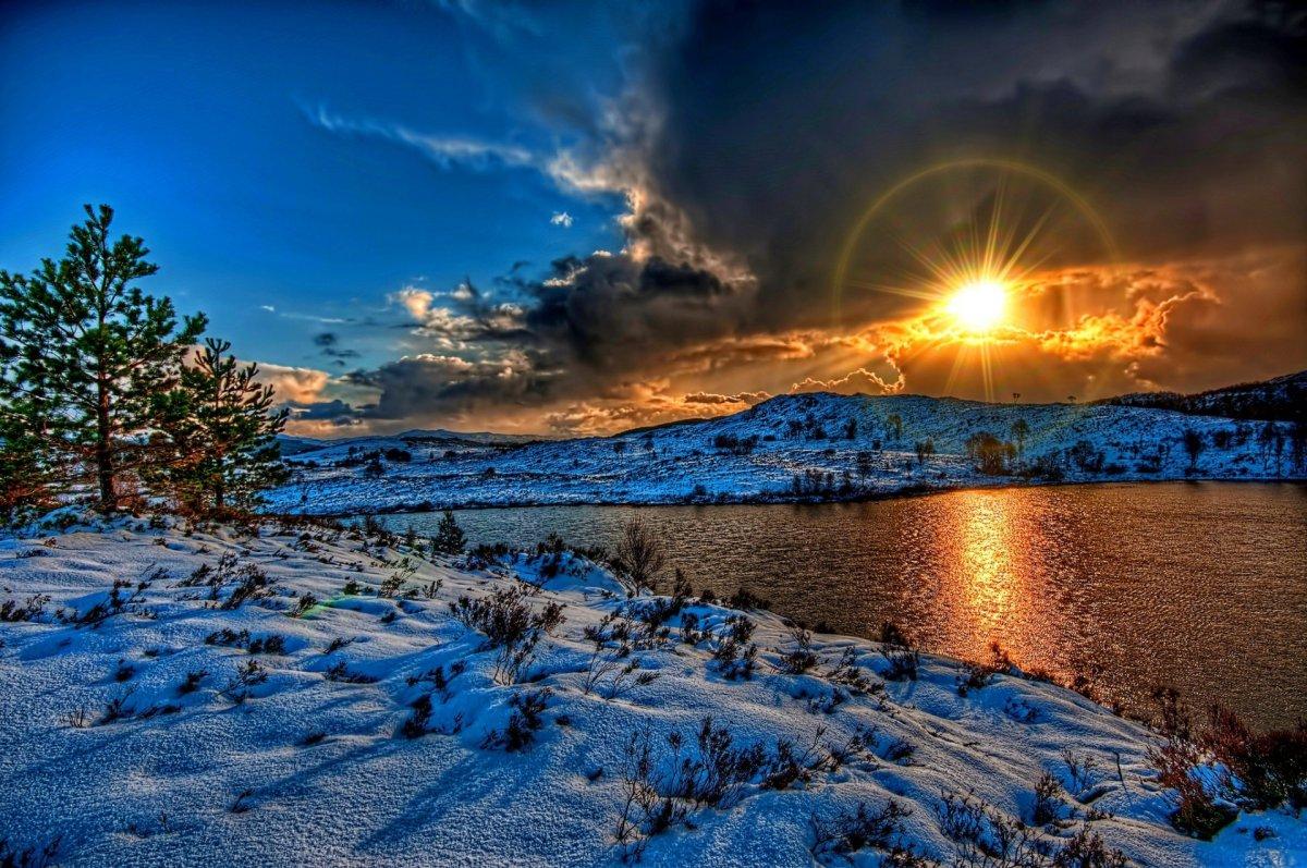 Солнце в лесу - Зима - Фото галерея - Галерейка