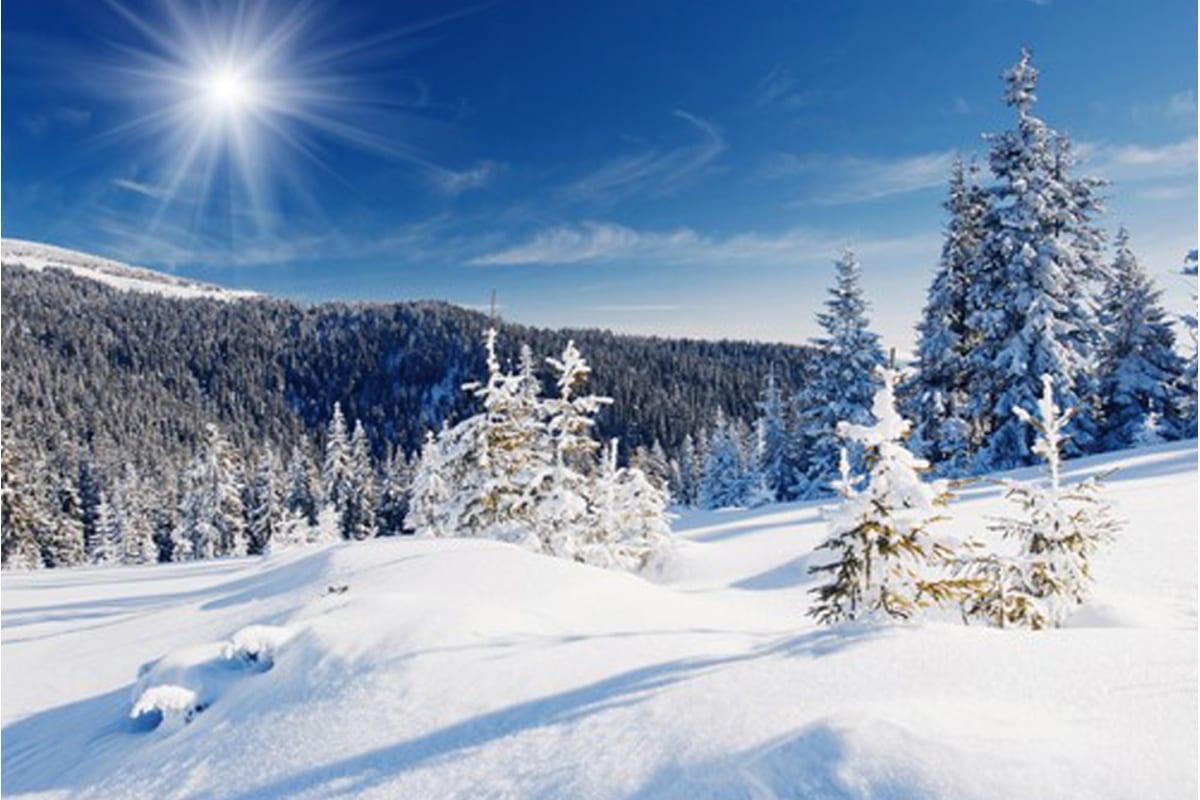 Зимнее солнце белый снег и деревья фотография карта Фон И картинка для  бесплатной загрузки - Pngtree