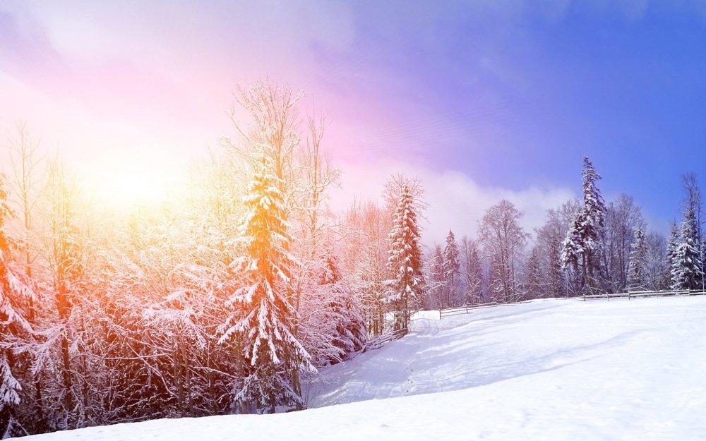 Картинки зима, солнце, иней, туман, снег, деревья, озеро - обои 1280x1024,  картинка №158571