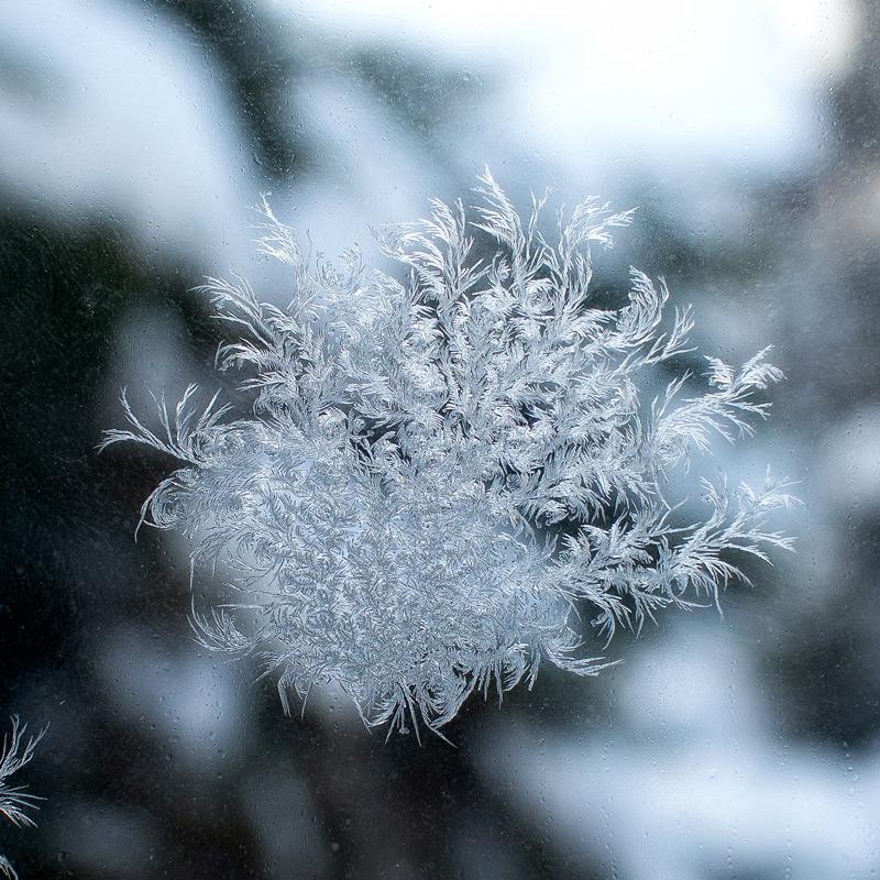 Файл:Зима январь Харьков.jpg — Википедия