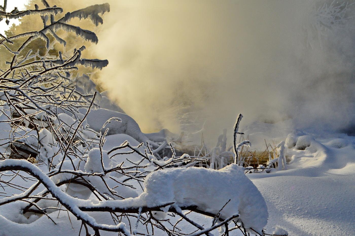 Блоггер - Красивая зима ❄️✨ #зима #январь #север #природа... | Facebook