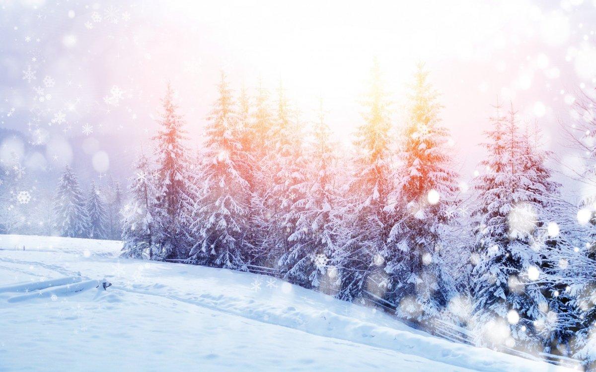 Зима - январь (фото из окна а/мобиля). :: Милешкин Владимир Алексеевич –  Социальная сеть ФотоКто