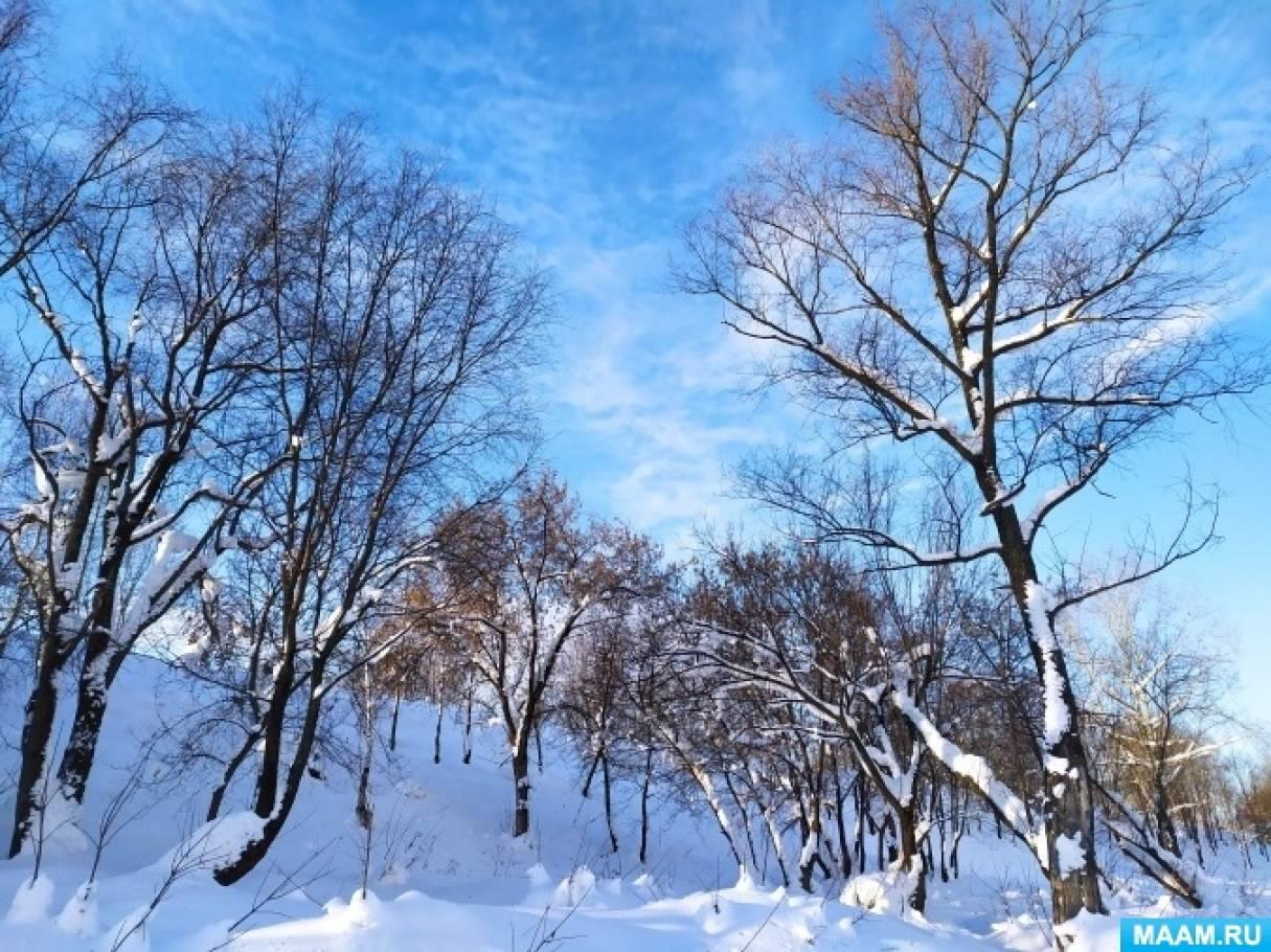 Надо разобраться с # . . #зима #январь #_пятница_ #вечер #снег #улица #фото  #город #гомель #беларусь тренировка 🖌️ #winter #snow #evening… | Instagram