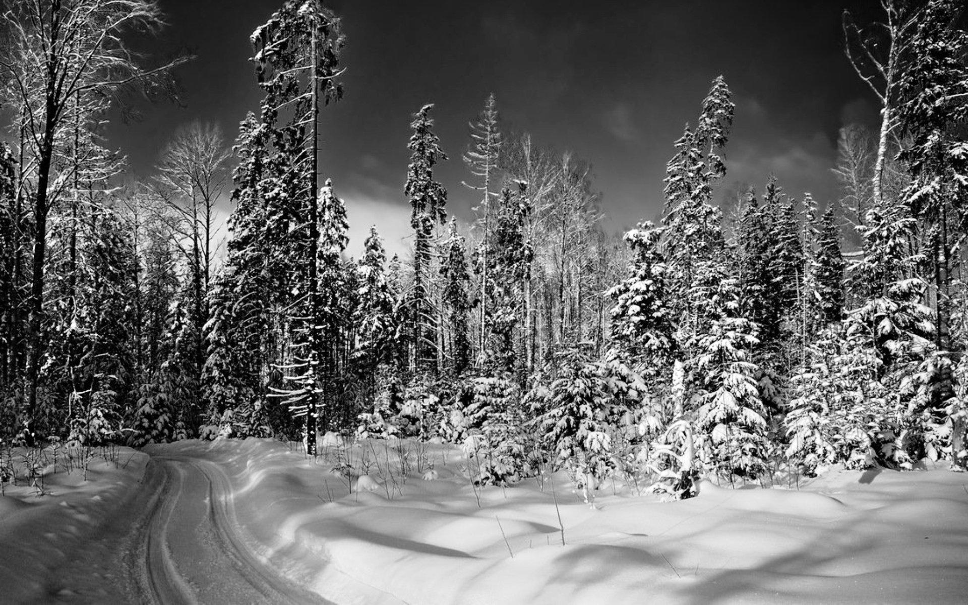Зима картинки черно белые