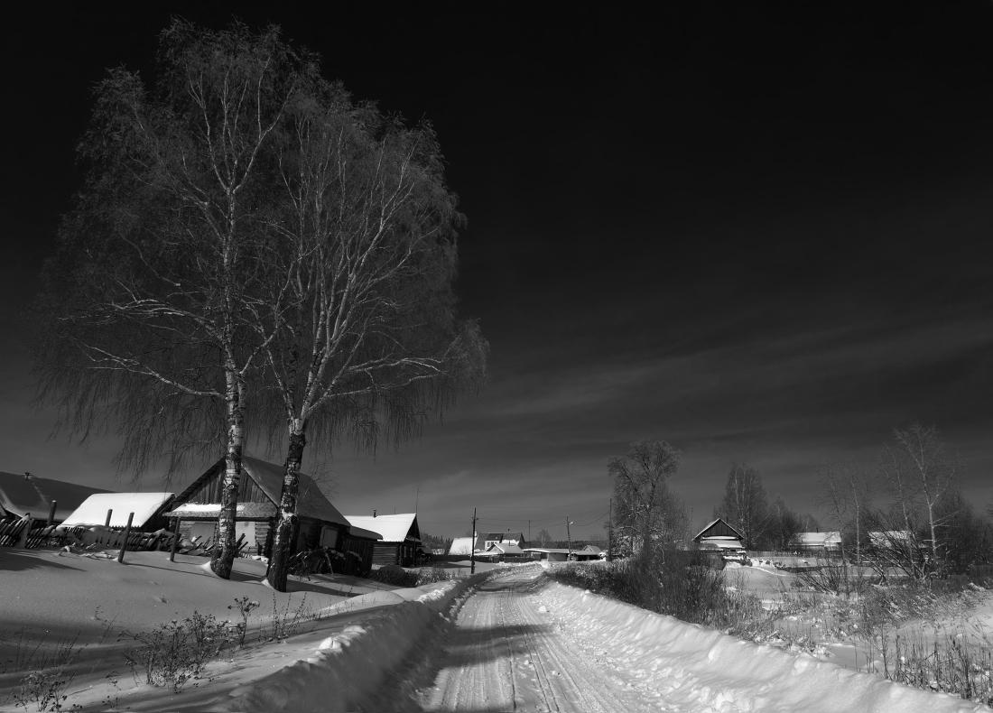 Картинка Зима в лесу » Черно-белые » Картинки 24 - скачать картинки  бесплатно