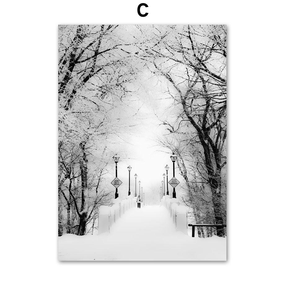 Зимние березы черно-белые стоковое фото. изображение насчитывающей  древесина - 158036088