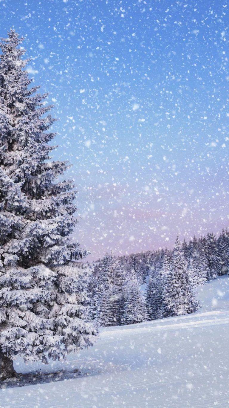 Вертикальные обои на айфон красивые зимние (52 картинки) | Живописные  пейзажи, Пейзажи, Зимние сцены