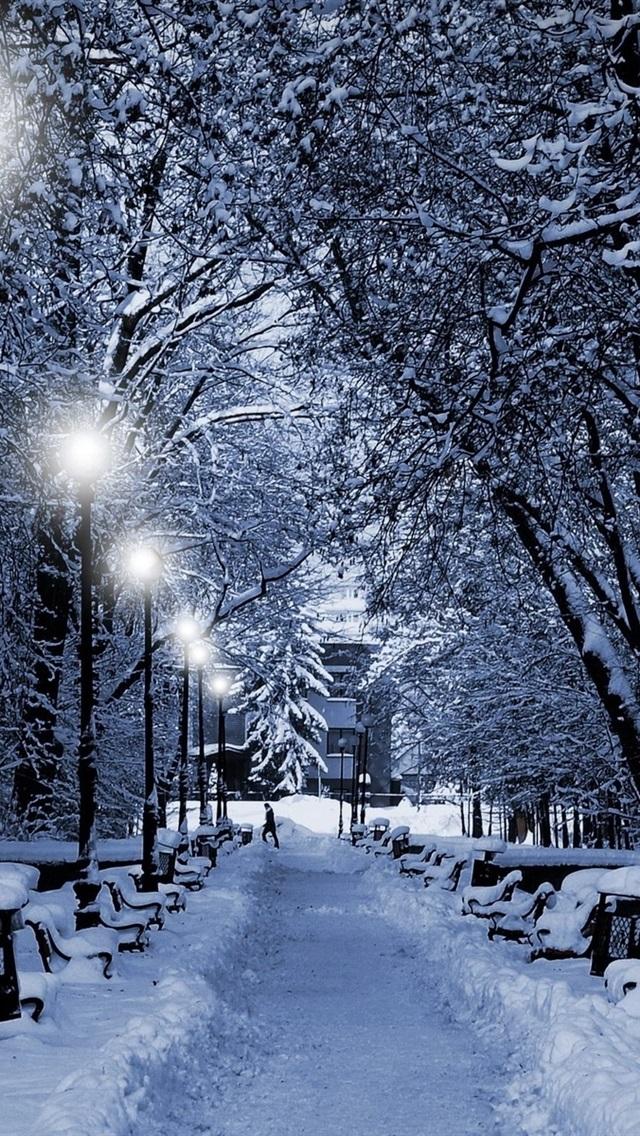 Обои Зима, деревья, толстый снег, лампа, путь 640x1136 iPhone 5/5S/5C/SE  Изображение