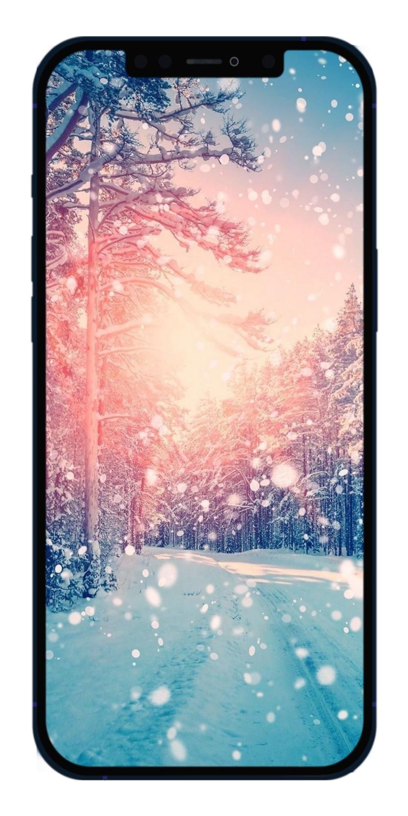 Вертикальные обои на айфон красивые зимние (52 картинки) | ФОТО ПРИРОДЫ |  Постила