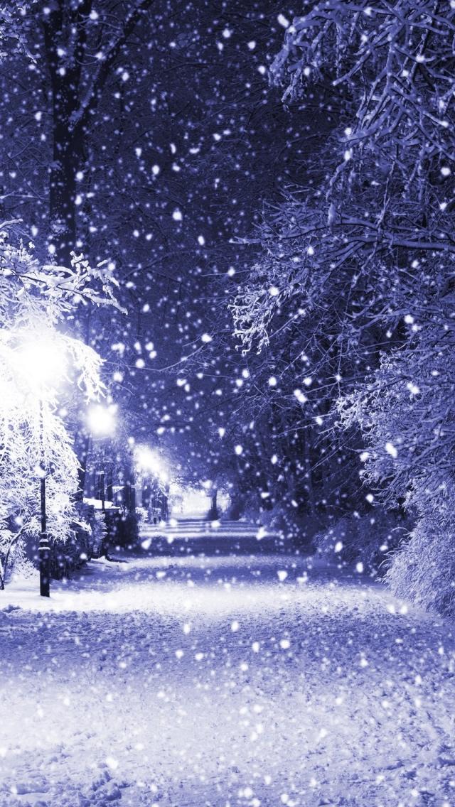 Обои Красивая зима, снег, деревья, лес 1242x2688 iPhone 11 Pro/XS Max  Изображение