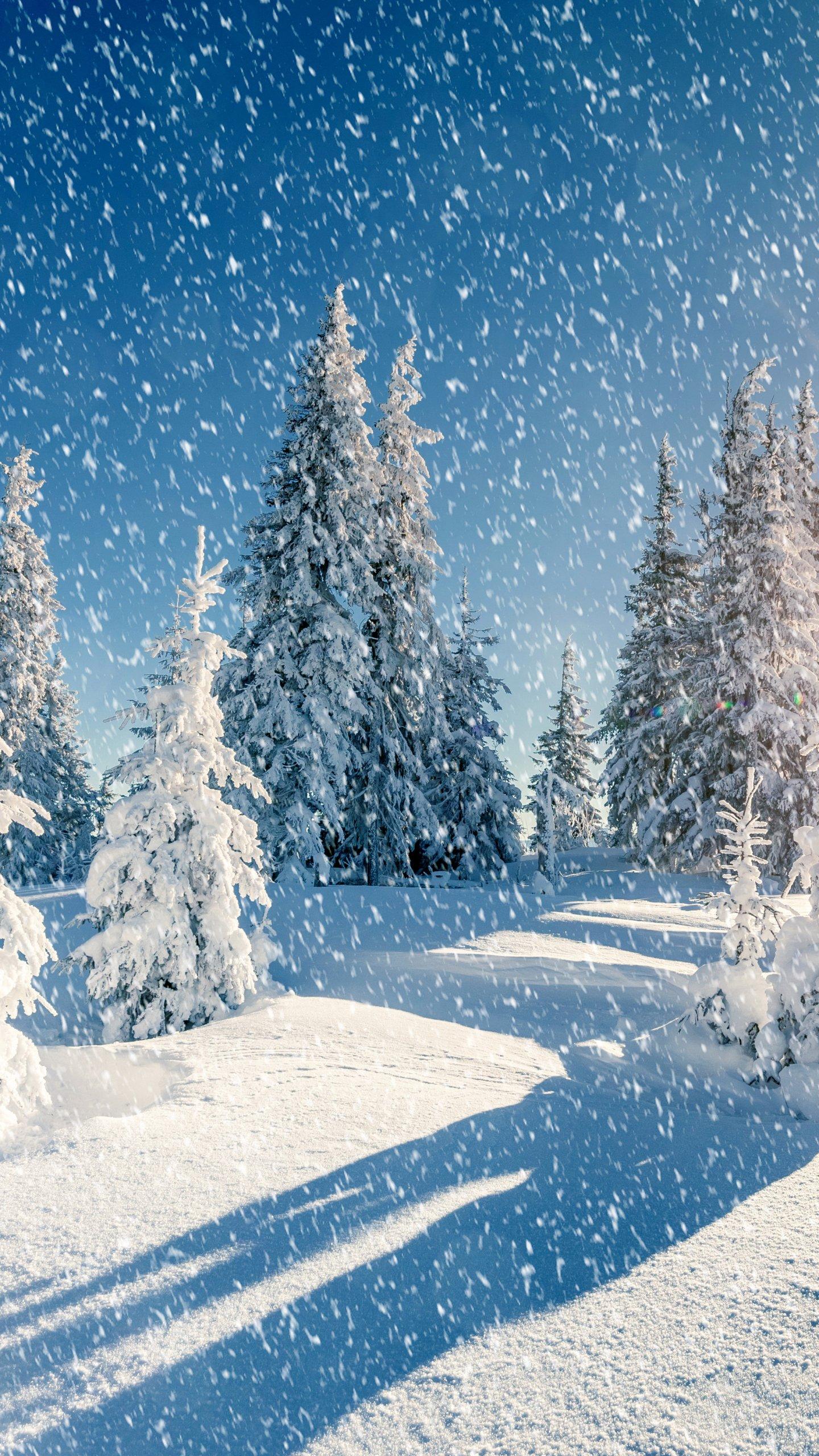 Простой зимний снег снег сияющая снежинка мобильный телефон обои материал  фон Обои Изображение для бесплатной загрузки - Pngtree