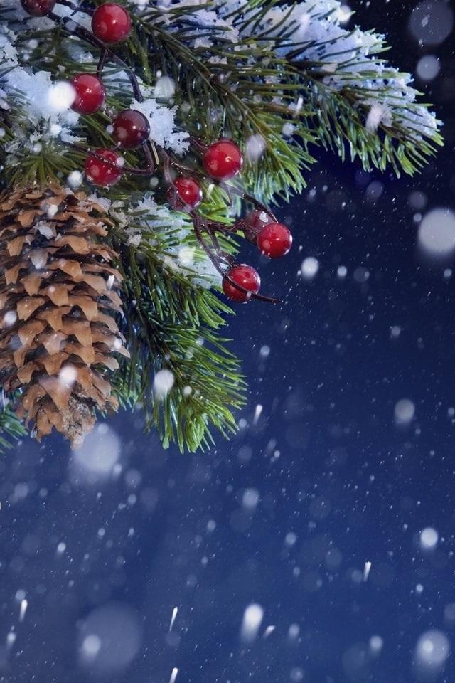 Картинка на телефон: зима, зимние, время года, сезоны, сезонные, дом, снег,  дерево