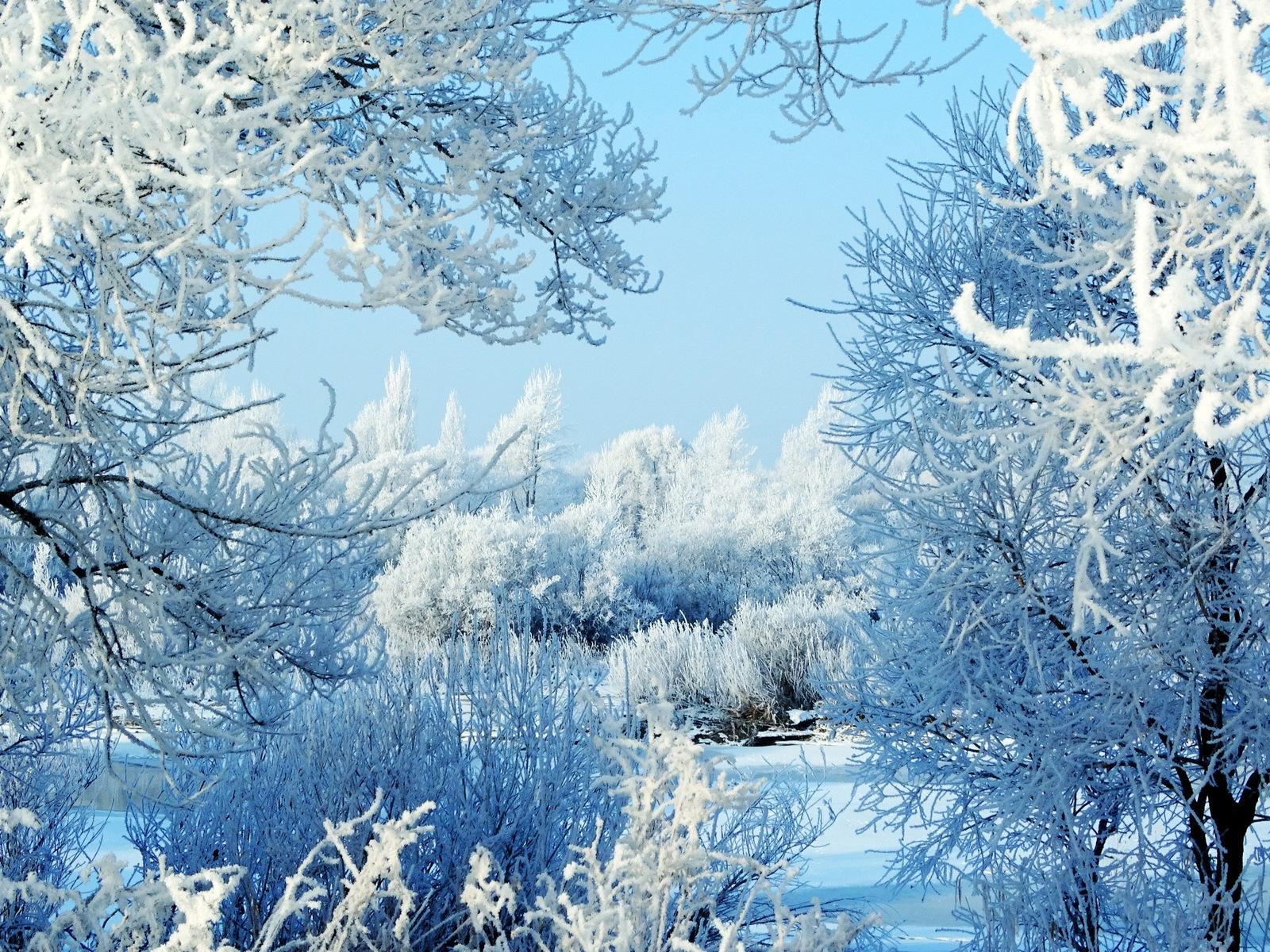 Красавица зима рисунок - 55 фото