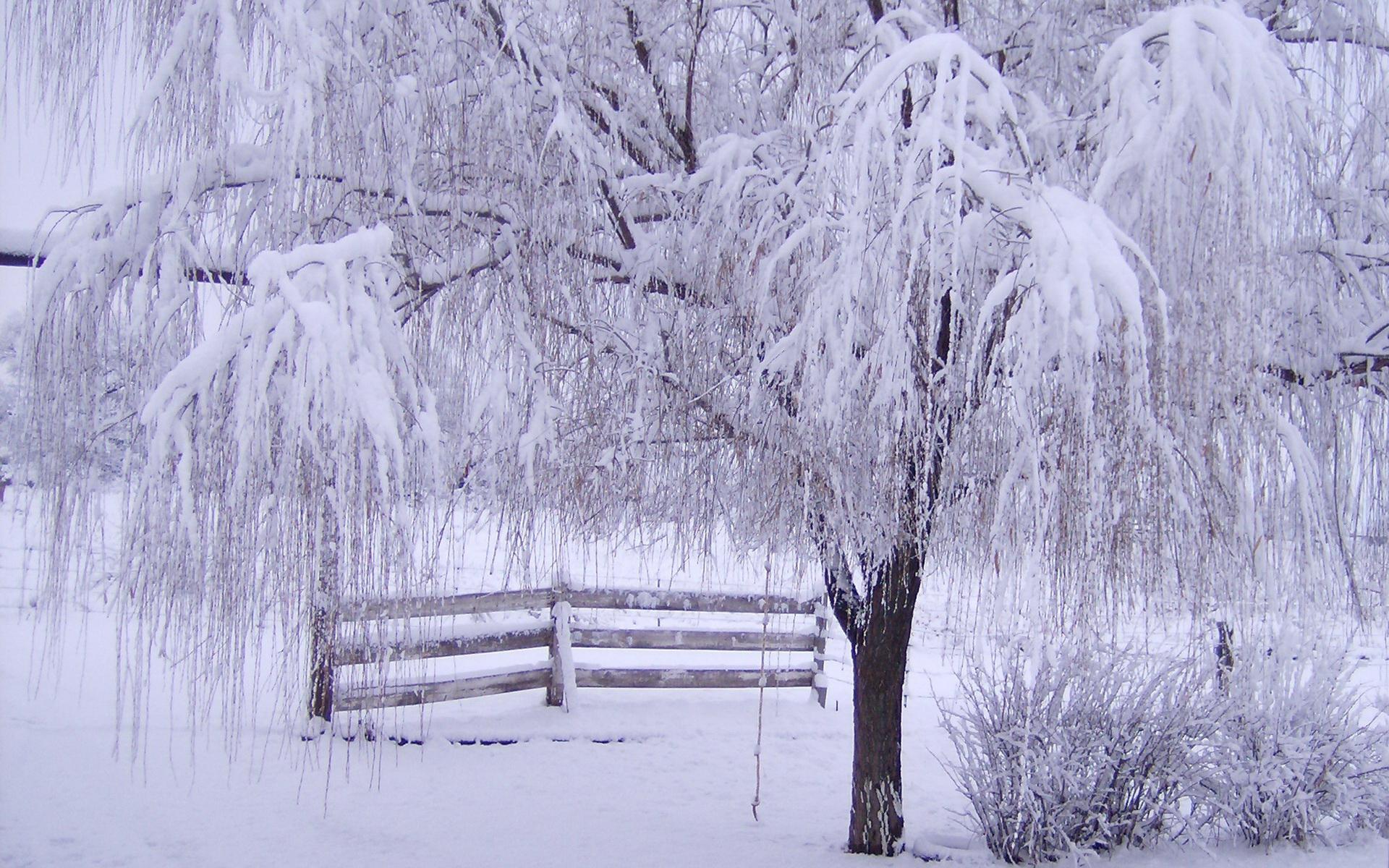 Картина по номерам \"Зима красавица\"