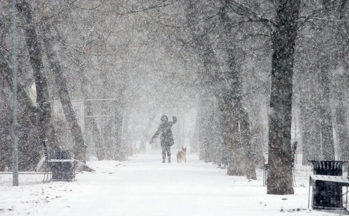 В Гидрометцентре предупредили о «первой зимней» метели в Москве — РБК