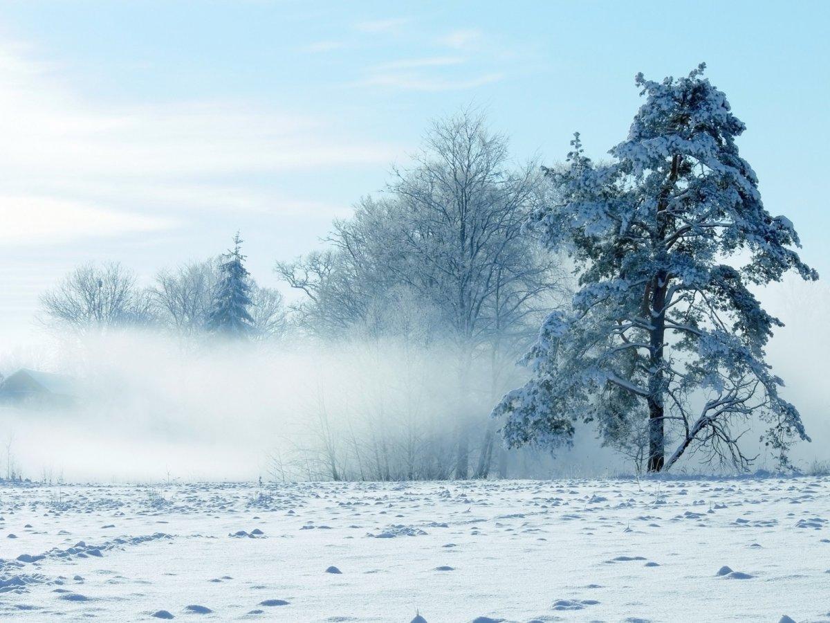 Зима метель - красивые фото