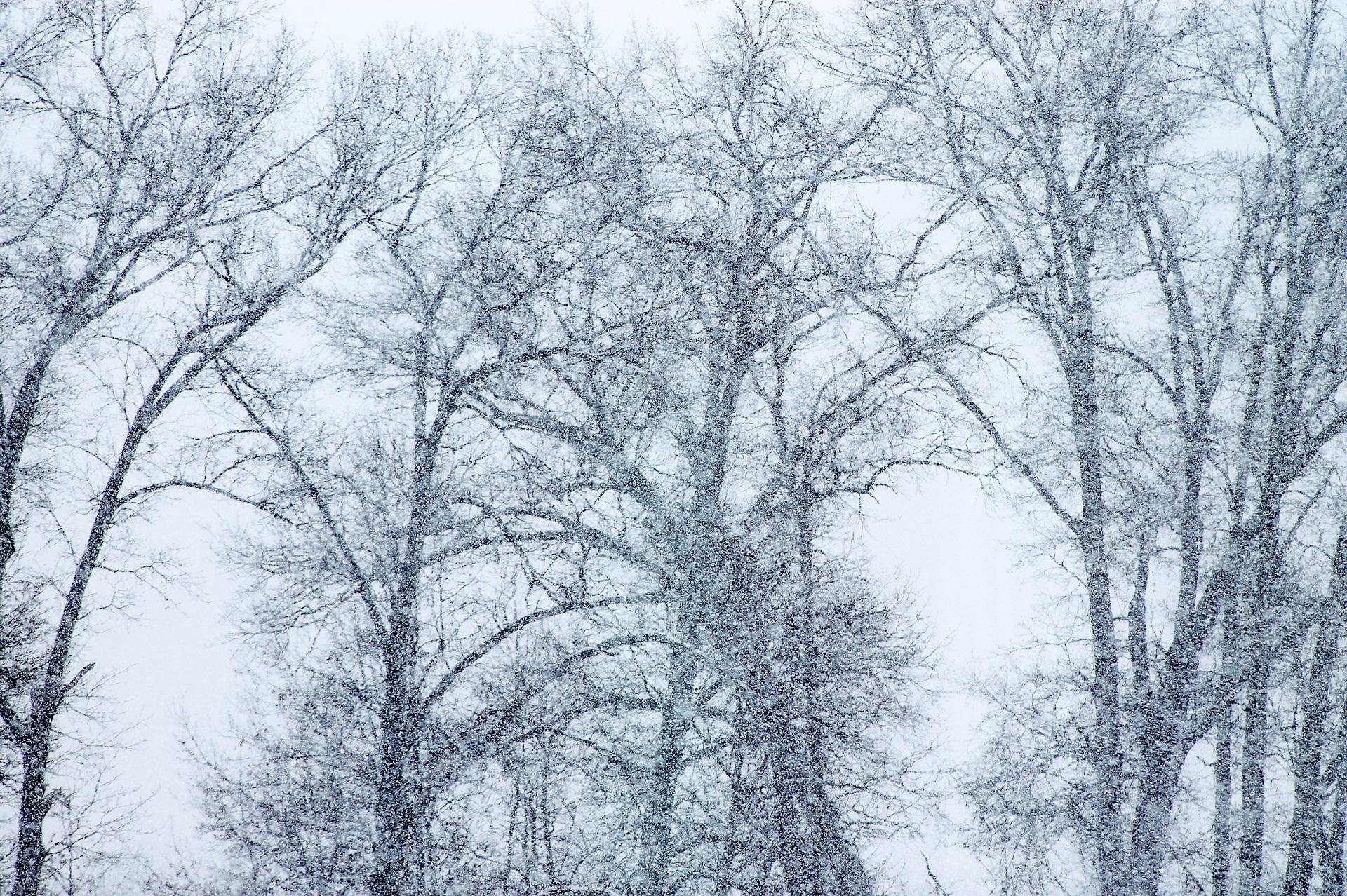 Снег и метель в Украине - фото и видео горы Поп Иван в ноябре - Апостроф