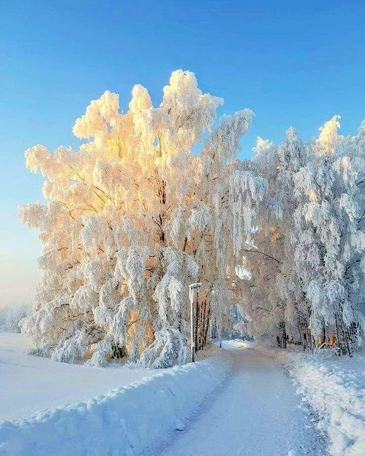 Фотографія Зима, мороз, - а не здається, - бо синє небо угорі... / Ігор  Солодовніков / photographers.ua