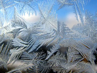 Зима пришла. Фотограф Триер Игорь