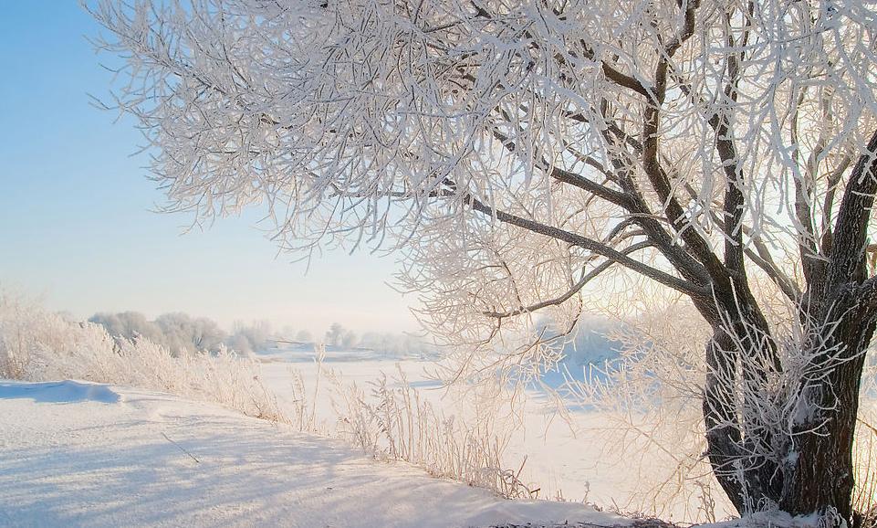 Смотреть «Зима в Простоквашино» в хорошем качестве онлайн на сайте  PREMIER.ONE