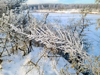 Зима начинается с Якутии»: фестиваль начнется 25 ноября - KP.RU