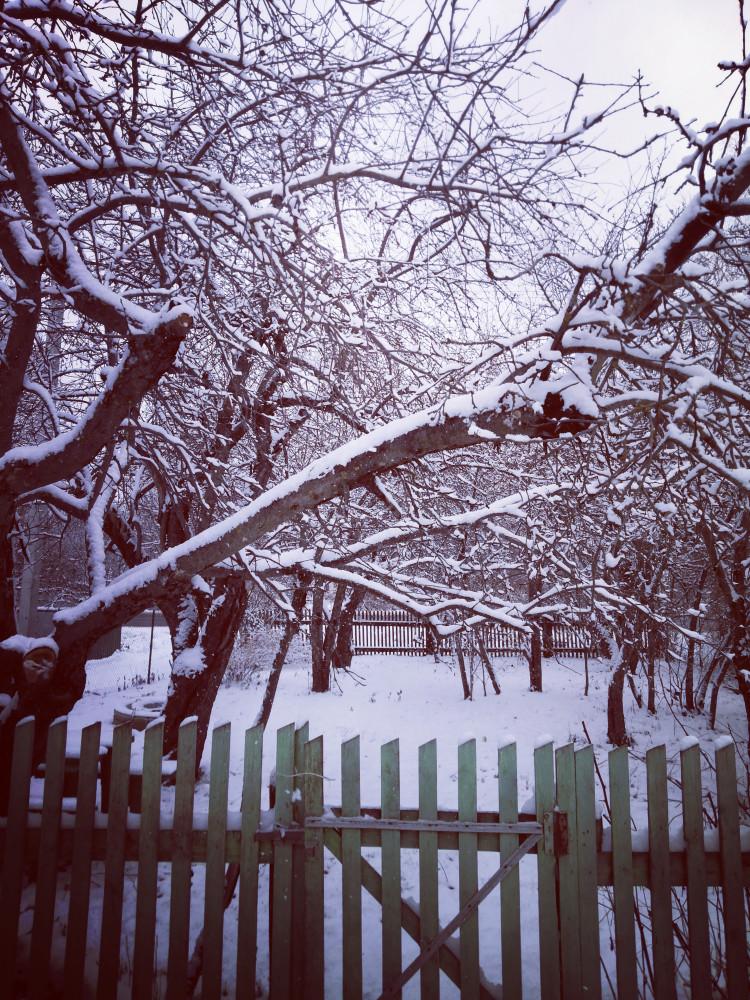 Начало зимы на Южном Урале (фотоотчёт) | Пикабу