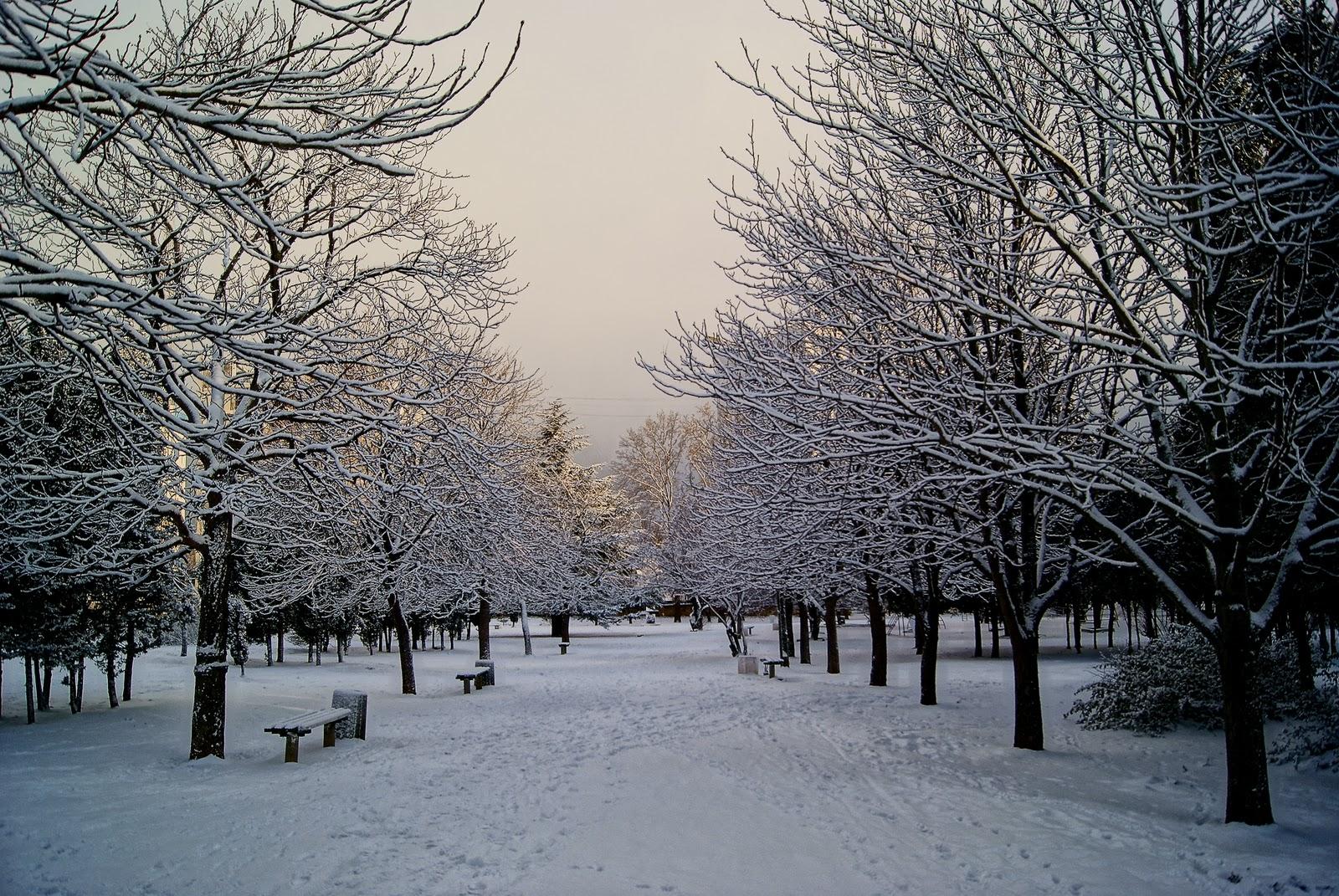 Лучшие фотографии Биробиджана за неделю из Instagram: зима продолжается -  EAOMedia.ru