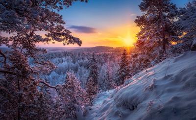 Восход солнца в зимнем лесу (53 фото) - 53 фото