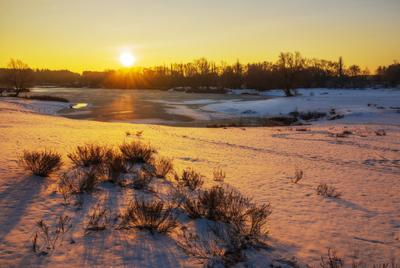 Рассвет зимой над полем в снегу | Премиум Фото